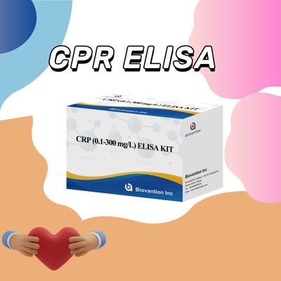 Genaue CRP 0,1-300 Mg/L Elisa-Testkit für die empfindliche Detektion biologischer Stoffe