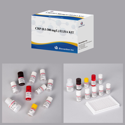 Genaue CRP 0,1-300 Mg/L Elisa-Testkit für die empfindliche Detektion biologischer Stoffe