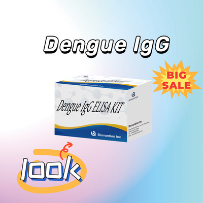 Hochleistungs-IgG-Elisa-Test-Kit für empfindliche und spezifische Ergebnisse