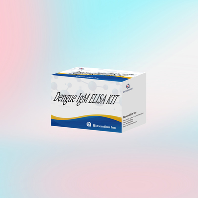 Innovatives IgM-Elisa-Test-Kit für die genaue Untersuchung und Überwachung von Dengue-Erkrankungen in klinischen Umgebungen