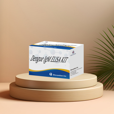 Innovatives IgM-Elisa-Test-Kit für die genaue Untersuchung und Überwachung von Dengue-Erkrankungen in klinischen Umgebungen