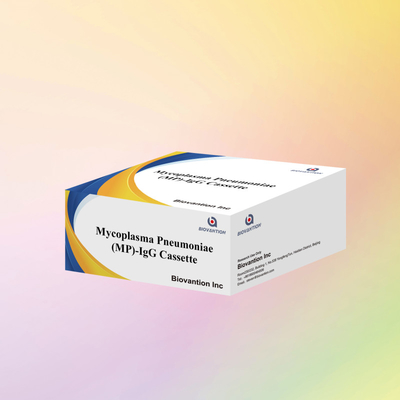 Kolloidal Gold MP-IgG Rapid Test Schnelle genaue Diagnoselösung für medizinische Tests