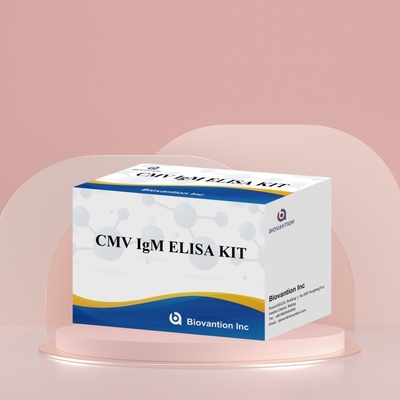 Enzyme Immunoassay Reagents Elisa Test Kit For Detection Of Cytomegalovirus CMV Antibodies