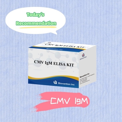 Enzyme Immunoassay Reagents Elisa Test Kit For Detection Of Cytomegalovirus CMV Antibodies
