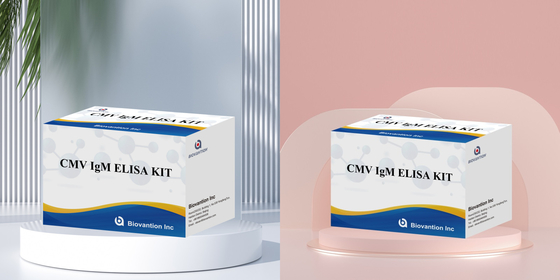 Enzyme Immunoassay Reagents Elisa Test Kit For Detection Of Cytomegalovirus CMV Antibodies