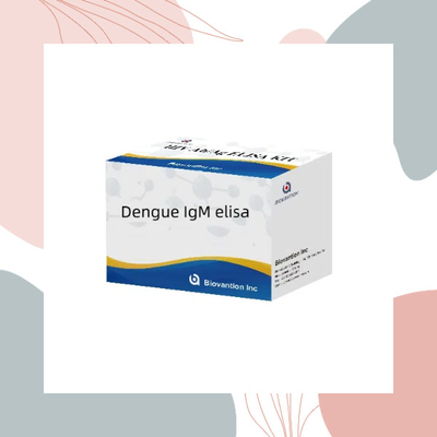 Dengue IgM ELISA zur In-vitro-Diagnostik von Infektionen mit dem Denguevirus