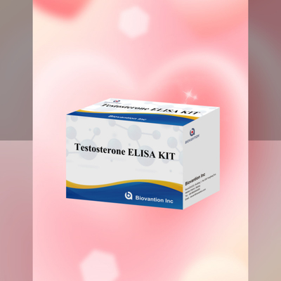 Testosteron-Antikörper-Test-Kit genaue und empfindliche Erkennung