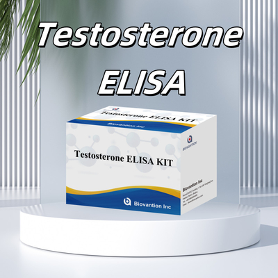 Testosteron-Antikörper-Test-Kit genaue und empfindliche Erkennung