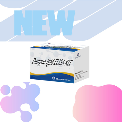 Zuverlässige genaue Biomarker-Analyse Dengue IgM Elisa-Test-Kit für Krankheitsuntersuchung und -überwachung in klinischen Umgebungen