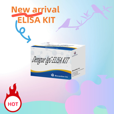 Anpassbares IgG-ELISA-Kit für spezifische und biologische Proben