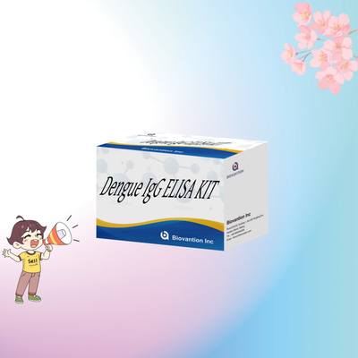 Anpassbares IgG-ELISA-Kit für spezifische und biologische Proben