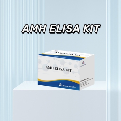 Sehr empfindliches Anti-Mullerian Hormon / AMH Elisa Kit für genaue und schnelle Erkennung von Krankheiten