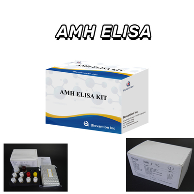 Sehr empfindliches Anti-Mullerian Hormon / AMH Elisa Kit für genaue und schnelle Erkennung von Krankheiten