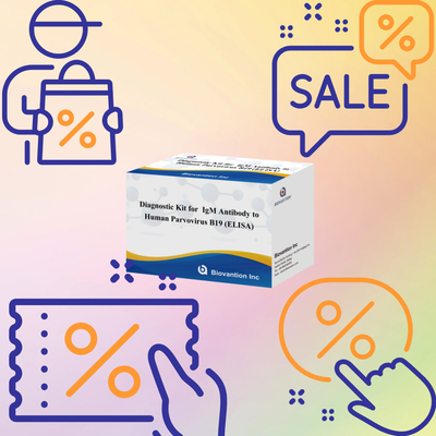 Advanced Human Parvovirus B19 IgM Antikörper-ELISA-Test-Kit zur Schwangerschaftserkennung und -untersuchung