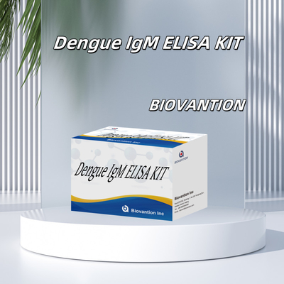 Hochempfindliche Dengue-IgM-Elisa-Testkits für geringe Detektionsgrenzen und hohe Präzision