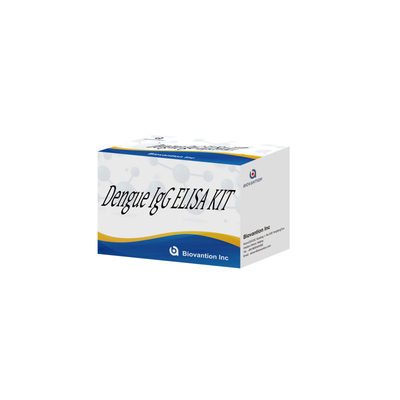 Hochgenaue IVD-Reagenzien Dengue IgG ELISA-Kit für den menschlichen Nachweis mit Serumplasma