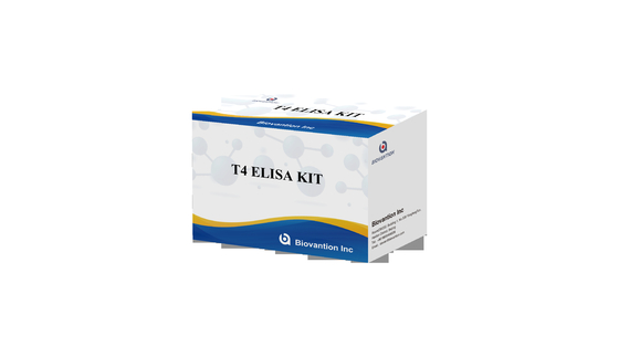 Hochspezifisches T4-Elisa-Test-Kit für die genaue Detektion von Zielstoffen