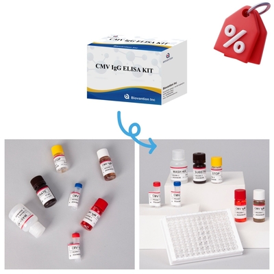 Hochempfindliches CMV-Elisa-Test-Kit für genaue und präzise Ergebnisse
