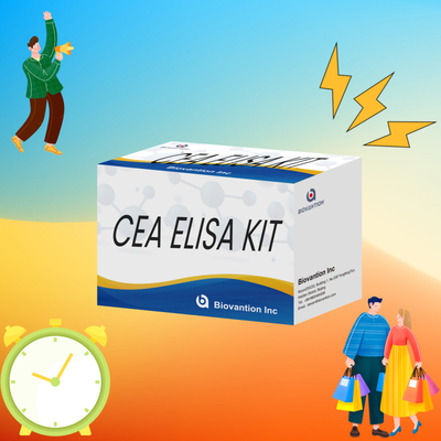Hochleistungs-CEA Quantitative Elisa Testkit für Forschung und Klinik