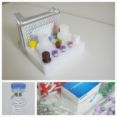 Empfindliches und präzises TB-IGRA-Elisa-Test-Kit zur präzisen Erkennung von Biomarkern