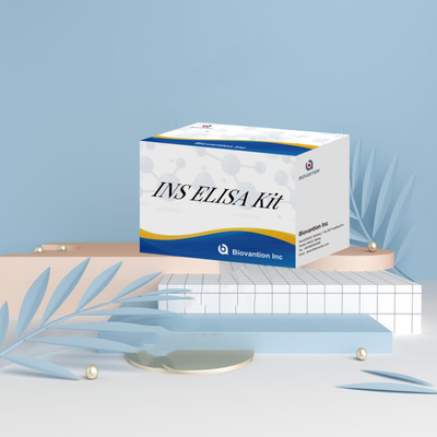 Professionelles Insulin-INS Elisa-Test-Kit für Diagnostik und Forschungsanwendungen
