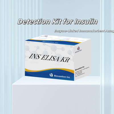Professionelles Insulin-INS Elisa-Test-Kit für Diagnostik und Forschungsanwendungen