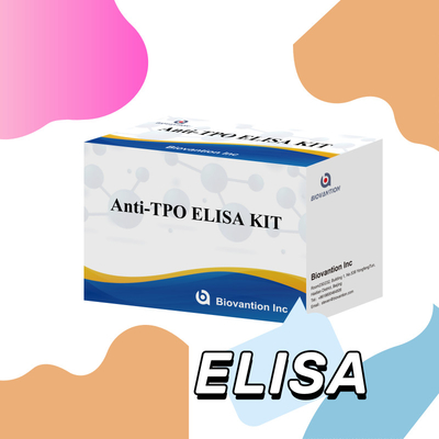 Bequem und präzise TPO-Elisa-Test-Kit zur Erkennung und Überwachung von Krankheiten
