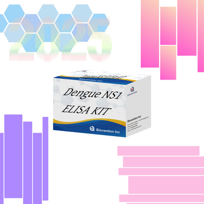 Dengue-N1 ELISA-KIT mit 96 Tests