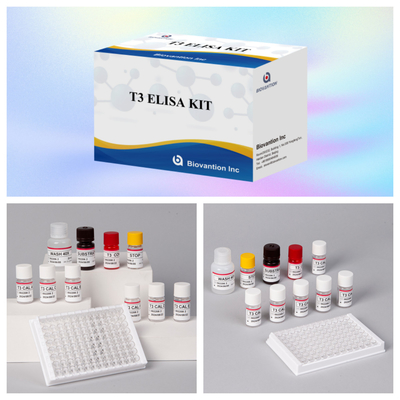 Anpassbares T3-Elisa-Test-Kit zur genauen Quantifizierung von Biomarkern