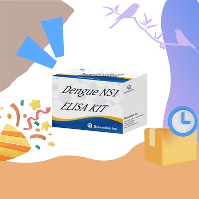 18 Monate Haltbarkeitsdauer Dengue IgM ELISA-Test-Kit mit hoher Empfindlichkeit und 96 Tests/Kit zur Krankenhaus-Labordiagnostik