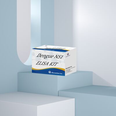 18 Monate Haltbarkeitsdauer Dengue IgM ELISA-Test-Kit mit hoher Empfindlichkeit und 96 Tests/Kit zur Krankenhaus-Labordiagnostik