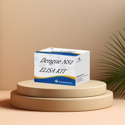 18 Monate Haltbarkeitsdauer Dengue IgM ELISA-Test-Kit mit hoher Empfindlichkeit und 96 Tests/Kit zur Krankenhaus-Labordiagnostik