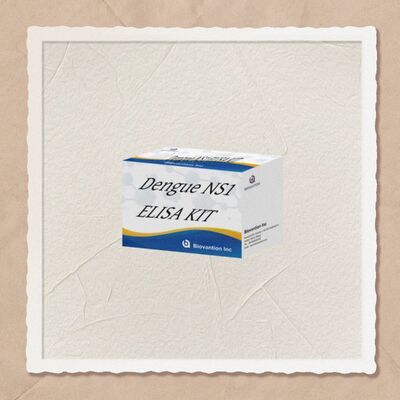 18 Monate Haltbarkeitsdauer Dengue IgM ELISA-Test-Kit mit hoher Empfindlichkeit und 96 Tests/Kit zur Krankenhaus-Labordiagnostik