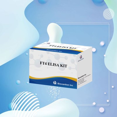 Präzises FT4-Elisa-Testkit mit 98 % Spezifität und 95 % Sensitivität für Schilddrüsenerkrankungen (96 Tests)