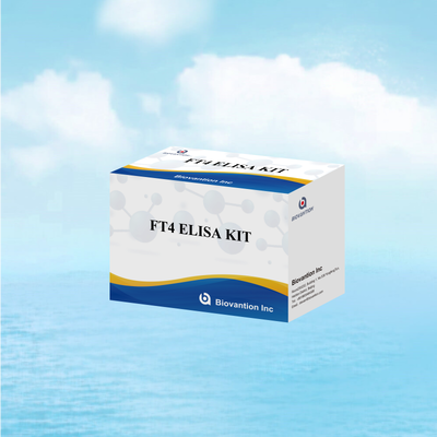 Präzises FT4-Elisa-Testkit mit 98 % Spezifität und 95 % Sensitivität für Schilddrüsenerkrankungen (96 Tests)