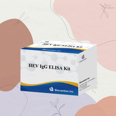 Hochsensitiver HEV-IgG ELISA Testkit mit 96T Größe und 18 Monaten Haltbarkeit für die Hepatitis E Diagnose