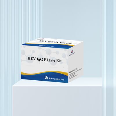 Hochsensitiver HEV-IgG ELISA Testkit mit 96T Größe und 18 Monaten Haltbarkeit für die Hepatitis E Diagnose