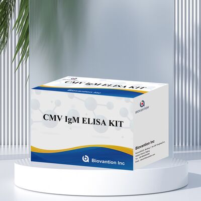 96T CMV ELISA Test Kit mit kolorimetrischer Detektion und Sandwich-Methode für Zytomegalievirus-Antikörper