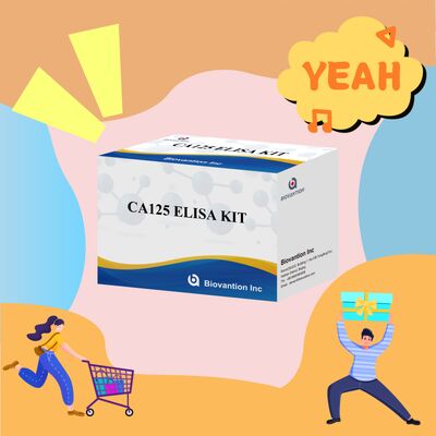 Hohe Empfindlichkeit CA125 ELISA-Test-Kit mit 96 Tests und 1 Stunde Testzeit für eine genaue Krebsdiagnose