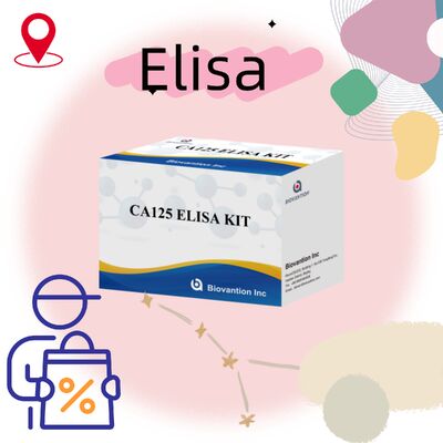 Hohe Empfindlichkeit CA125 ELISA-Test-Kit mit 96 Tests und 1 Stunde Testzeit für eine genaue Krebsdiagnose