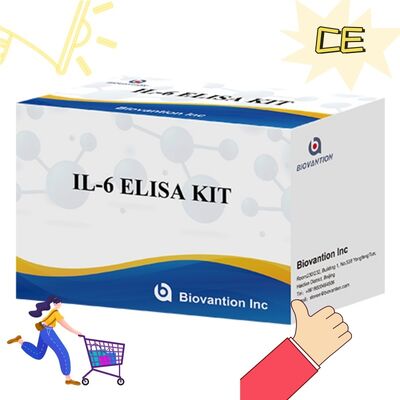 IL-6 Interleukin-6 Human ELISA Kit mit 99% Genauigkeit, 24 Monate Haltbarkeit und 96 Tests/Kit