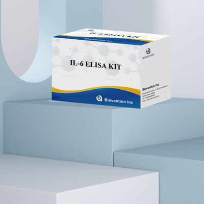 IL-6 Interleukin-6 Human ELISA Kit mit 99% Genauigkeit, 24 Monate Haltbarkeit und 96 Tests/Kit
