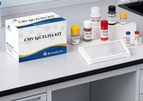 Im Labor oder im Krankenhaus eingesetztes hochgenaues CMV-IgG-Elisa-Testgerät