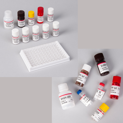 Humaner Pro-BNP Elisa-Kit / Pro-Brain Natriuretikum-Peptid Elisa-Kit