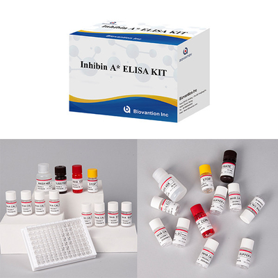 Labor- oder Krankenhaus-Hochpräzisions-Inhibitor-A-Diagnose-Elisa-Test-Kit