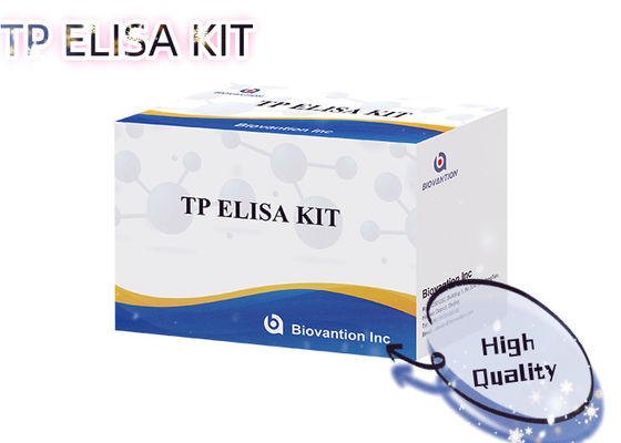 Syphilis TP ELISA Test Kit 96T Treponema Pallidum Antikörper nachweis menschlicher Serum