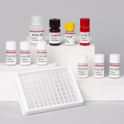 Präzise Kohlenhydrat-Antigen 125 (CA125) ELISA Diagnostiklösung ELISA-Test für CA125-Krebs Quantitative Blutuntersuchung