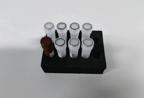 Dengue-PCR-Test mit 48 Tests