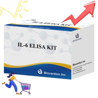 IL-6 Interleukin-6 Human ELISA Kit mit 99% Genauigkeit, 24 Monate Haltbarkeit und 96 Tests/Kit