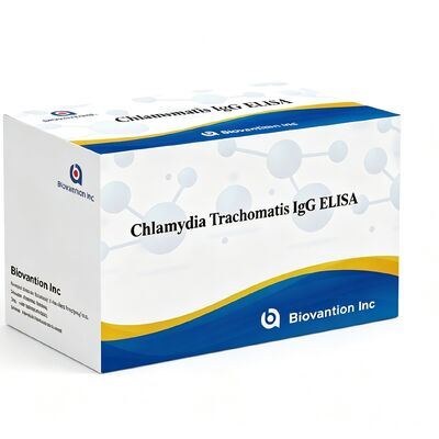Antikörper gegen Chlamydia trachomatis (Ct) IgG ELISA-Testkit Serum/Plasma